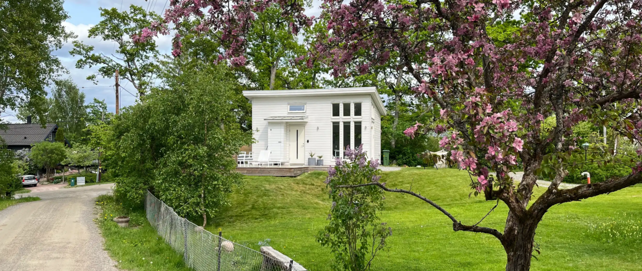 Vitmålat Årehuset 30 i trädgård med blommande körsbärsträd