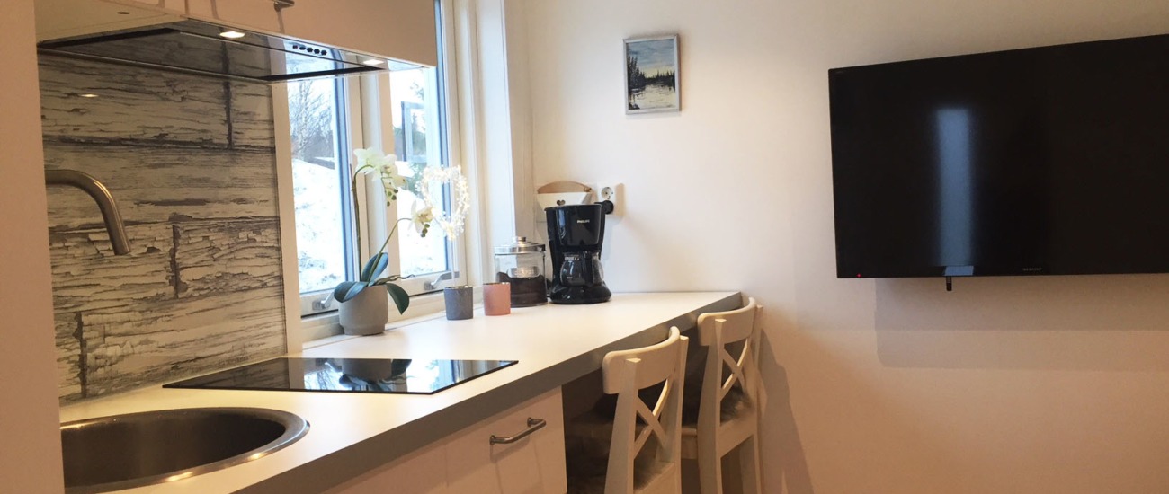 Modernt kök i Årehuset 15 skalhus